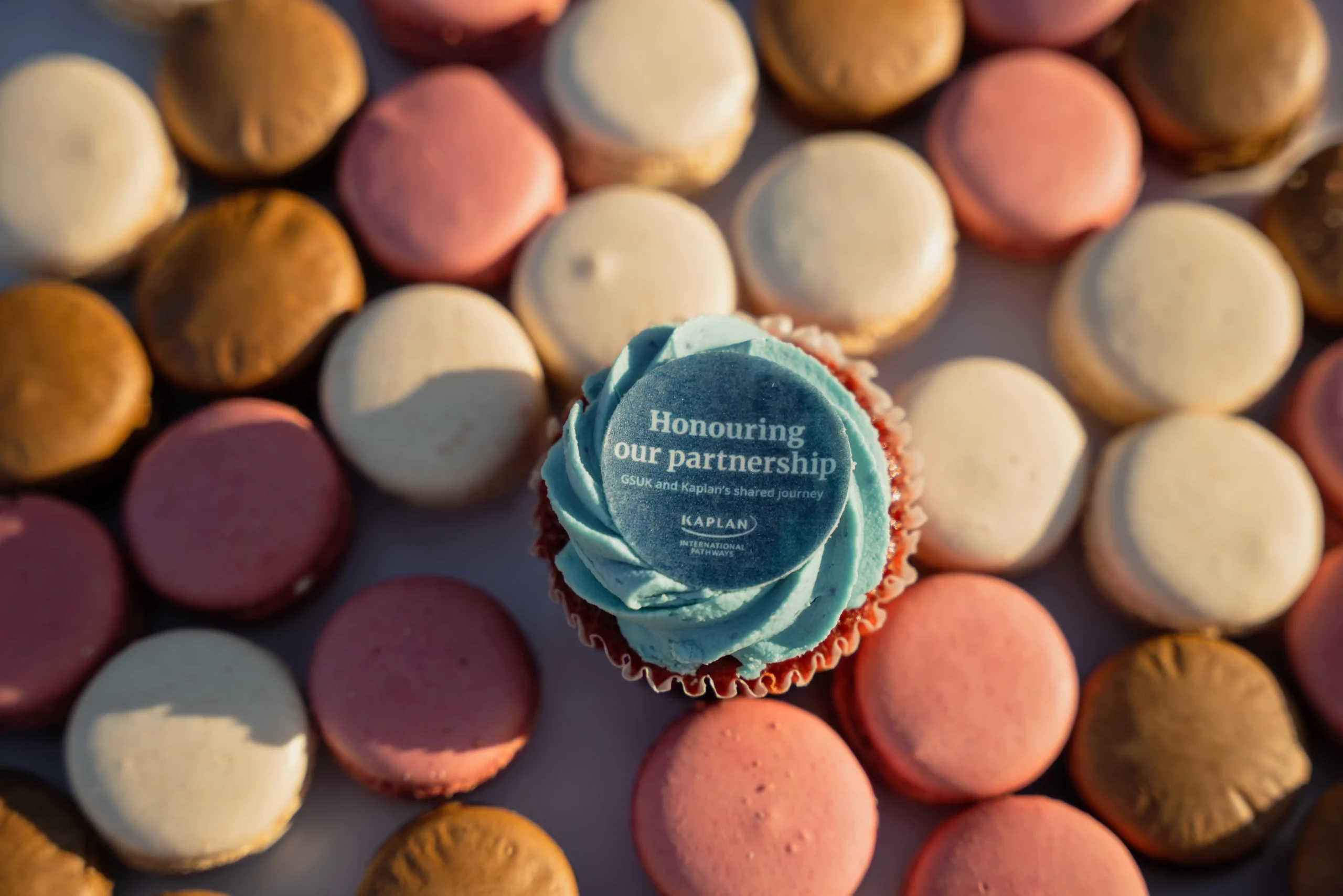 kaplan cupcake
